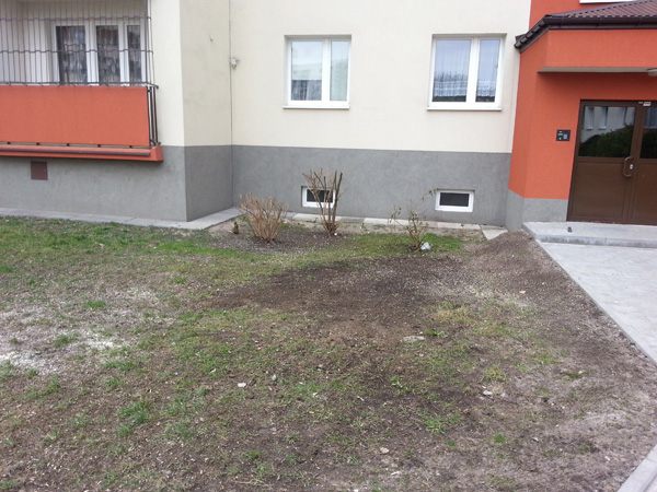Wycinka drzew przy ul. Grota-Roweckiego 51