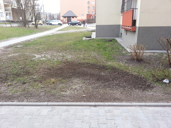 Wycinka drzew przy ul. Grota-Roweckiego 51
