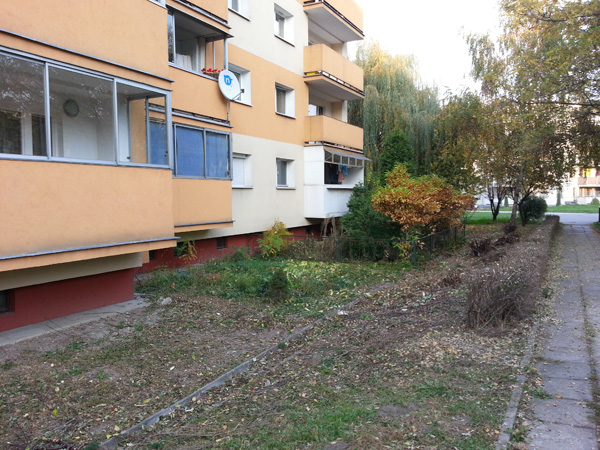 Wycinka krzewów przy ul. Kobierzyńskiej 66