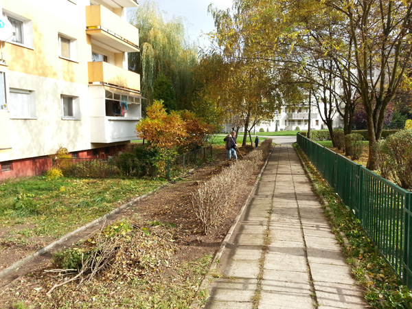 Wycinka krzewów przy ul. Kobierzyńskiej 66