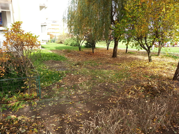 Wycinka krzewów przy ul. Kobierzyńskiej 66