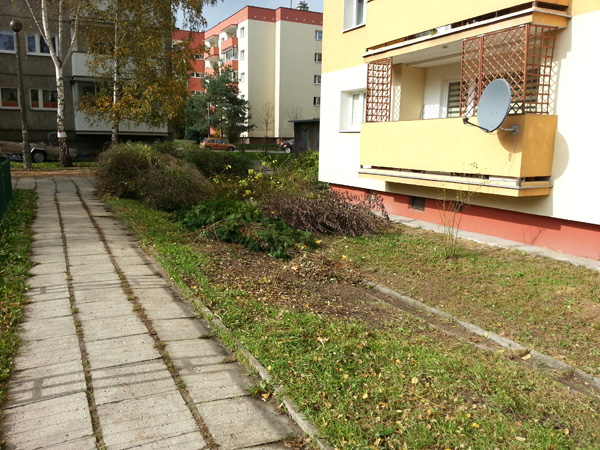 Wycinka krzewów przy ul. Kobierzyńskiej 66