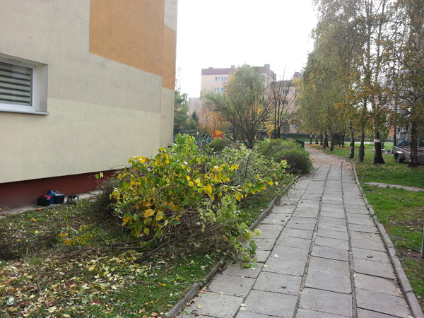 Wycinka krzewów przy ul. Kobierzyńskiej 66