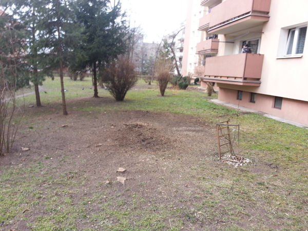Wycinka drzew przy ul. Kobierzyńskiej 67