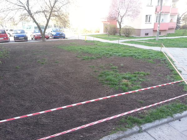 Zakładanie trawnika przy ul. Grota-Roweckiego 51a