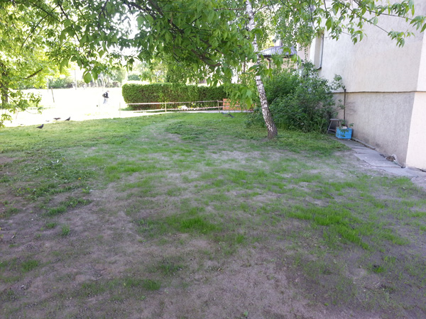 Zakładanie trawnika przy ul. Grota-Roweckiego 51a
